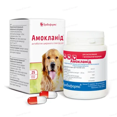 Амокланід (ДЛЯ ТВАРИН) капсули по 0,5 г, 25 штук