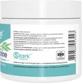 Теанін Stark Pharm L-Theanine Pure Powder, 100 г