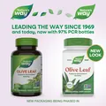 Листя оливи Nature's Way Olive Leaf, 100 веганських капсул
