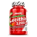 Лецитин Amix Nutrition Lecithin 1200 мг, 100 гелевих капсул