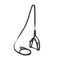 Шлея Collar DOG Extreme 07021 чорний нейлон з повідцем, 10 мм*28-40 см