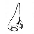 Шлея Collar DOG Extreme 07021 чорний нейлон з повідцем, 10 мм*28-40 см
