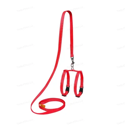 Шлея для морских свинок Collar Dog Extreme 07013 регульована з повідком, 1х12-22 см червона