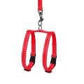Шлея для морских свинок Collar Dog Extreme 07013 регулируемый с поводком, 1х12-22 см красный
