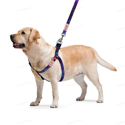 Шлея для собак Collar WAUDOG Nylon NASA, з QR паспортом ширина 20 мм, довжина 50-80 см