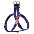 Шлея для собак Collar WAUDOG Nylon NASA, с QR паспортом ширина 20 мм, длина 50-80 см