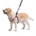Шлея для собак Collar WAUDOG Nylon NASA, з QR паспортом ширина 20 мм, довжина 50-80 см