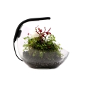 Светильник светодиодный Collar AquaLighter Pico Soft black черный