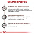 Корм вологий для кішок Royal Canin Gastro Intestinal при порушенні травлення, 85 г