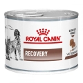 Корм влажный для кошек и собак Royal Canin Recovery Canine Feline в период восстановления после болезни, 195 г