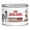 Корм вологий для кішок і собак Royal Canin Recovery Canine Feline в період відновлення після хвороби, 195 г