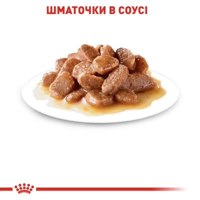 Корм влажный для кошек Royal Canin Instinctive Gravy от 12 месяцев, соус, 85 г