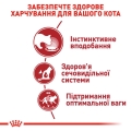 Корм влажный для кошек Royal Canin Instinctive Gravy от 12 месяцев, соус, 85 г