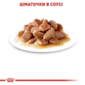 Корм влажный для кошек Royal Canin Instinctive Gravy от 12 месяцев, соус, 85 г