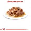Корм вологий для кішок Royal Canin Instinctive Gravy від 12 місяців, соус, 85 г