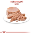 Корм влажный для котят Royal Canin Babycat Instinctive до 4 месяцев, 195 г