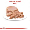 Корм вологий для кошенят Royal Canin Babycat Instinctive до 4 місяців, 195 г