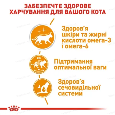 Корм вологий для кішок Royal Canin Intense Beauty In Jelly, 85 г