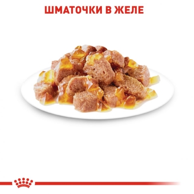 Корм вологий для кішок Royal Canin Intense Beauty In Jelly, 85 г