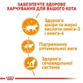 Корм вологий для кішок Royal Canin Intense Beauty In Jelly, 85 г