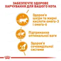 Корм вологий для кішок Royal Canin Intense Beauty In Jelly, 85 г