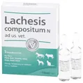 Лахезіс композитум Хеель ветеринарний розчин, 5 мл, 1 ампула