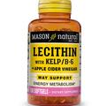 Лецитин с водорослями Mason Natural Lecithin With Kelp/Vitamin B6 Plus Cider Vinegar, 100 гелевых капсул