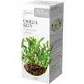 Фіточай Naturalis пагони омели білої по 50 г у пач.