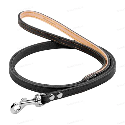Повідець Collar 04431 одинарний, не прошитий, ширина 10 мм довжина 122 см, чорний