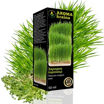 Рослинна олія Aroma kraina Зародки пшениці, 50 мл