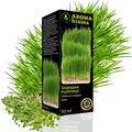 Рослинна олія Aroma kraina Зародки пшениці, 50 мл