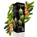 Рослинна олія Aroma kraina Жожоба, 20 мл