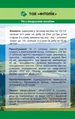 М'яти перцевої листя Фітолік, 40 г