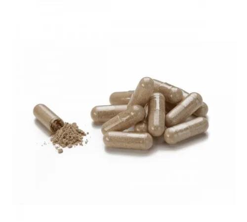 Молочный Чертополох Nature's Sunshine (NSP) Milk Thistle 595 мг, 60 капсул