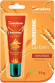 Бальзам для губ Himalaya Herbals питательный с маслом ростков пшеницы, 10 г