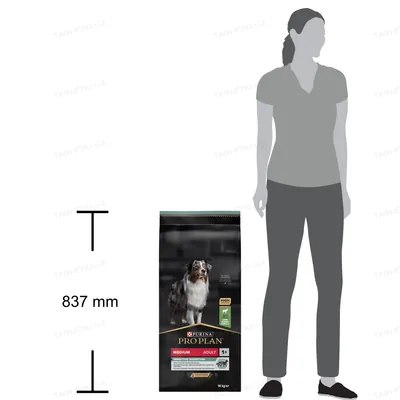 Корм сухий Purina Pro Dog Medium Adult 1+ Sensitive Digestion для дорослих собак середніх порід з чутливим травленням, з ягням, 14 кг