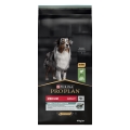 Корм сухой Purina Pro Plan Dog Medium Adult 1+ Sensitive Digestion для взрослых собак средних пород с чувствительным пищеварением, с ягненком, 14 кг