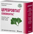 Церебровітал капсули №30 (10х3)