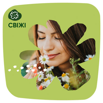 Прокладки ежедневные Naturella Camomile Plus, 36 шт