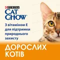 Корм сухий Purina Cat Chow Adult з качкою, 1,5 кг