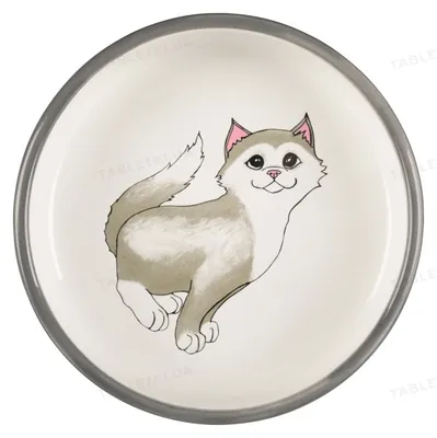 Миска для котів коротконосих порід Trixie 24784 сіра керамічна 0,3 л/15 см