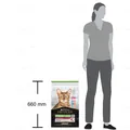 Корм сухий для стерилізованих кішок і котів Purina Pro Plan Sterilised Adult 1+ з тріскою та фореллю, 10 кг