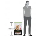 Корм сухий для стерилізованих кішок і кастрованих котів Purina Pro Plan Sterilised 1+ з качкою і печінкою, 10 кг