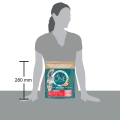 Корм сухой для кастрированных котов/стерилизованных кошек Purina One Sterilcat с лососем, 800 г