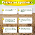 Цитросепт экстракт по 20 мл во фл.