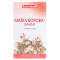 Матка Борова краплі по 50 мл у флак.