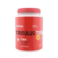 Тестостероновий бустер AB PRO Tribulus TRS Трибулус, 120 капсул