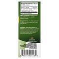 Коэнзим Q10 Genceutic Naturals 24 hr CoQ10 100 мг, 60 вегетарианских капсул