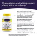 Экстракт виноградных косточек Healthy Origins MegaNatural BP-Grape Seed Extract 300 мг, 60 растительных капсул