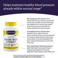 Екстракт виноградних кісточок Healthy Origins MegaNatural BP-Grape Seed Extract 300 мг, 60 рослинних капсул